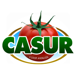 Logo - casursca.png