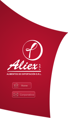 Logo - aliex.png