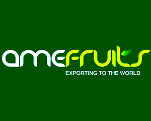 Logo - logo-amefruits-cotizaciones.jpg