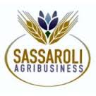 Logo - sassaroli.jpg