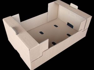 Aguacate Hass - Aguacate