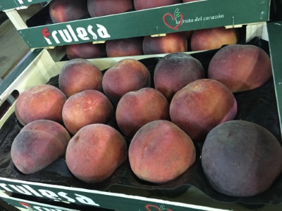 Peach - GOLD  SCORPION S.L