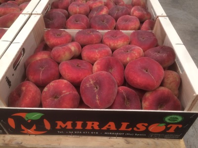 Peach - GOLD  SCORPION S.L