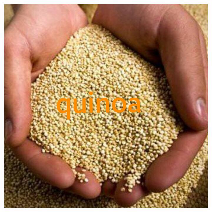 Quinoa - PERUVIAN  EXPORT