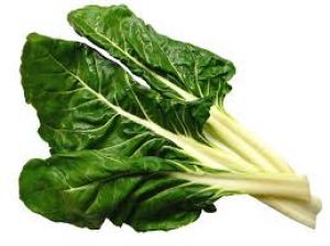 Acelga  - XalteProduce