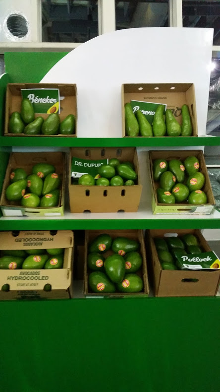 Aguacate  - Almacenes El Platanero Dominicano S.R.L