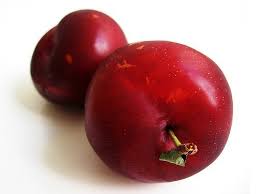 Plum - Global Hmg Sat 9997