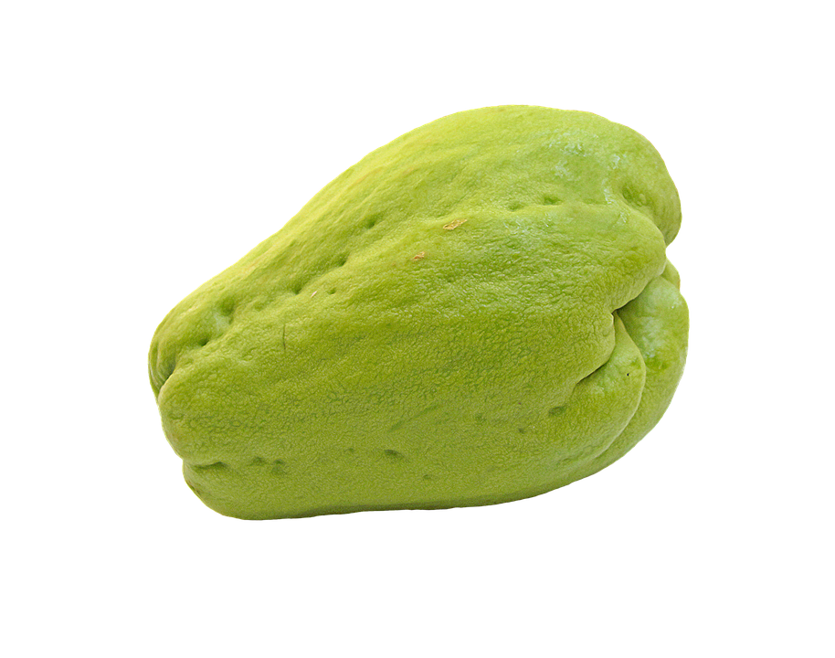 Chayote - Comercializadora Agroexportadora JV