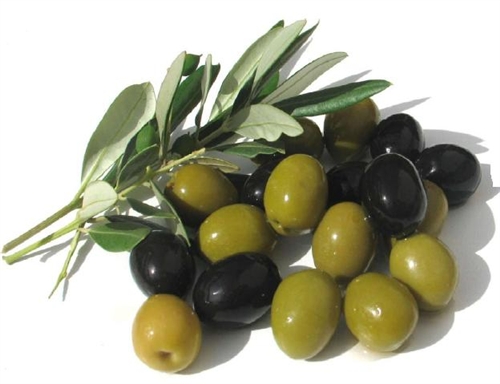 Aceituna - Di Lecce Nicola Srl