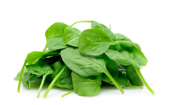 Espinacas - La Veneta Azienda Agroalimentare S.R.L