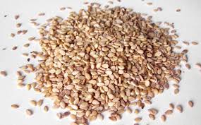 Sesame - Bio Herb Egypt Co