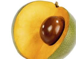 Lucuma - Orgánica Perú SAC