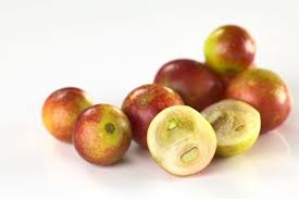 Camu Camu - San Lorenzo Foods