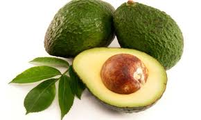 Aguacate - Asoppitaya