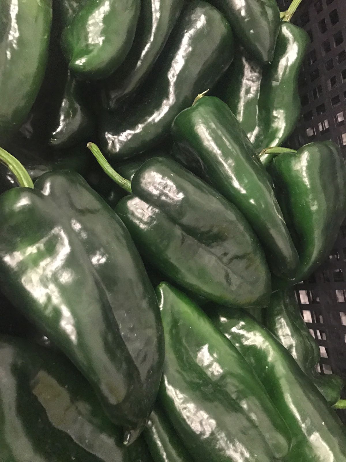 Chile - Distribuidora Hormitex SA de CV