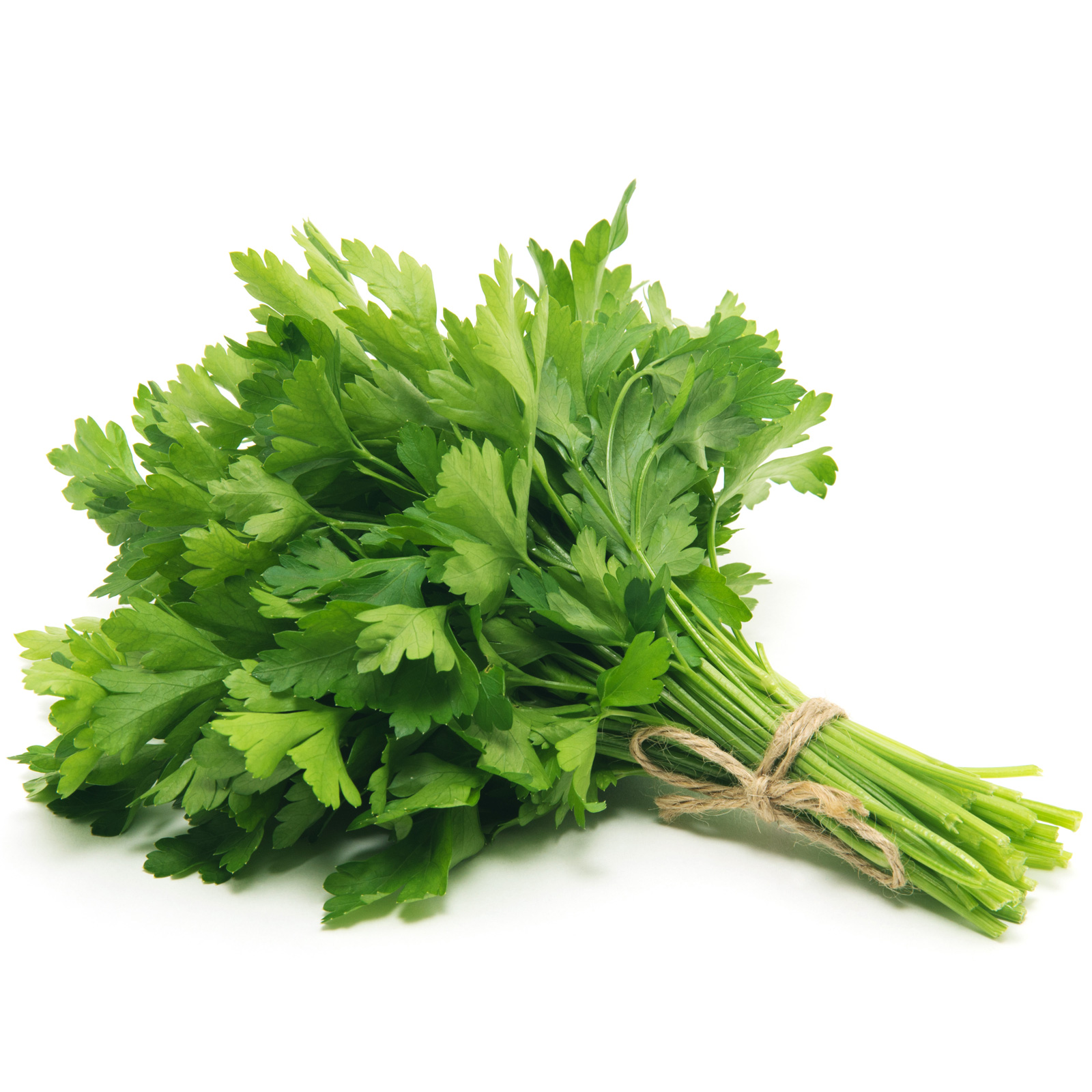 Parsley - Fresh Grown Farms LLC