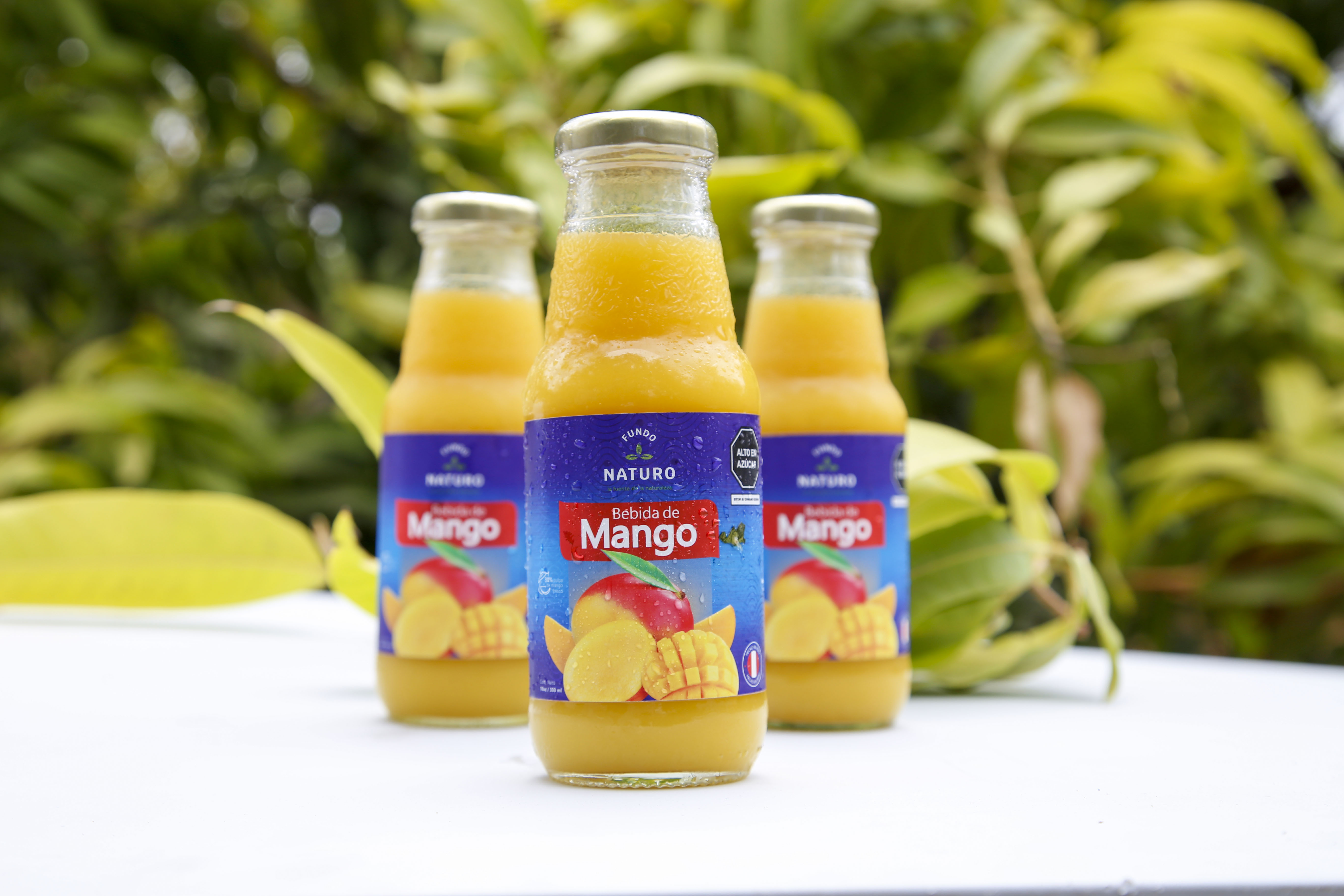 Jugo de Mango - Fk Consultoria y Gestion