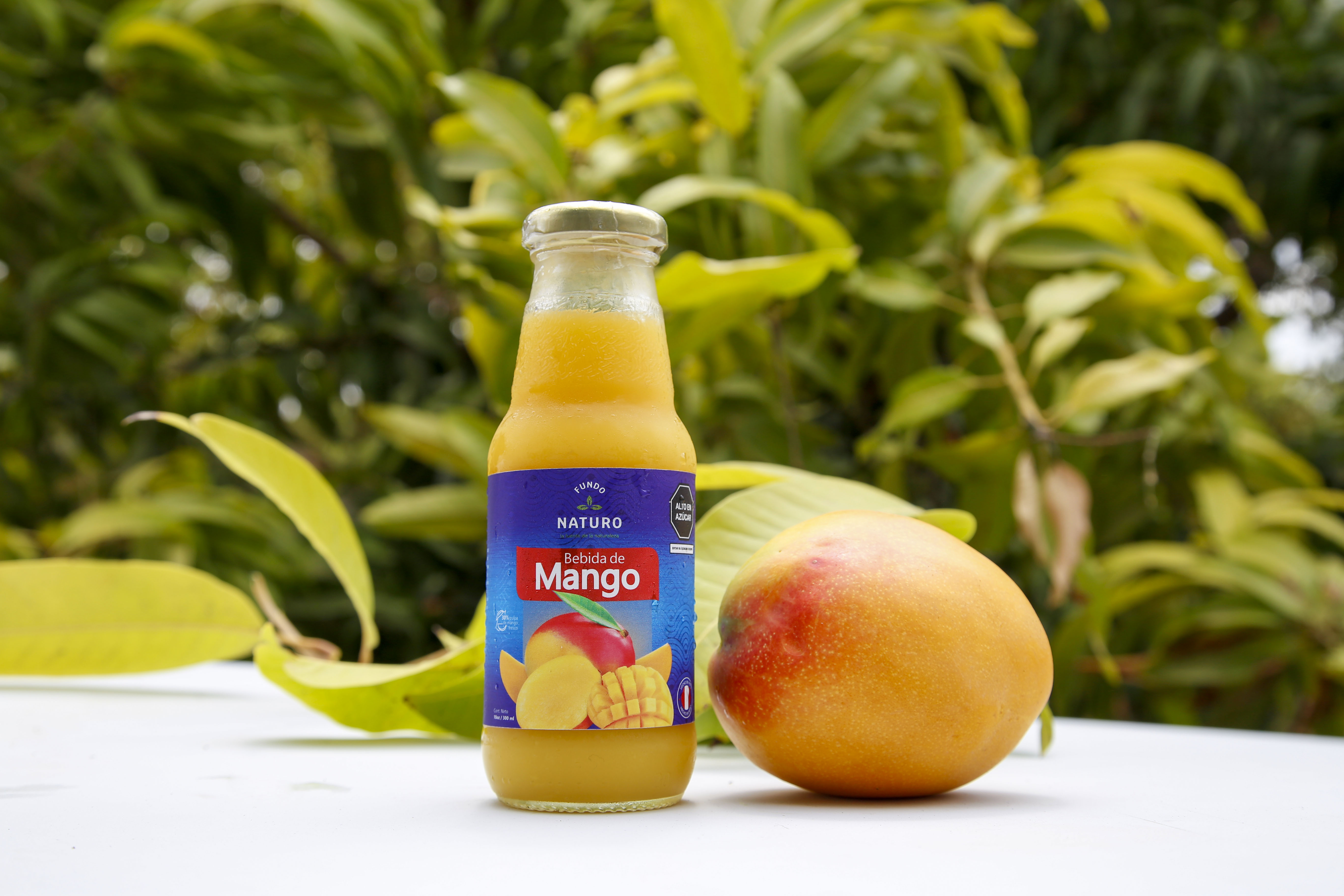 Jugo de Mango - Fk Consultoria y Gestion