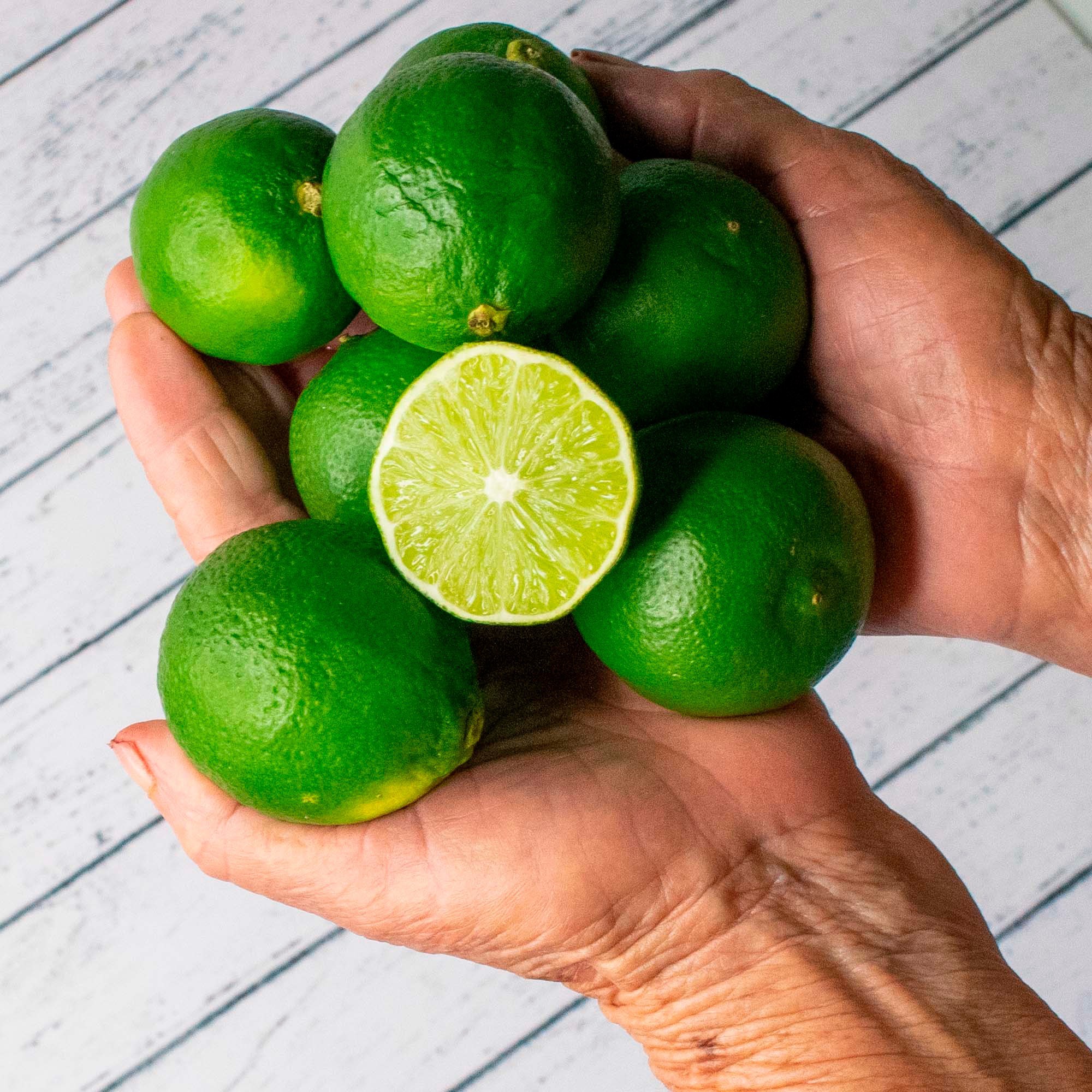 Limón Persa - Minerales de Guatemala / Finca Las Pacayas