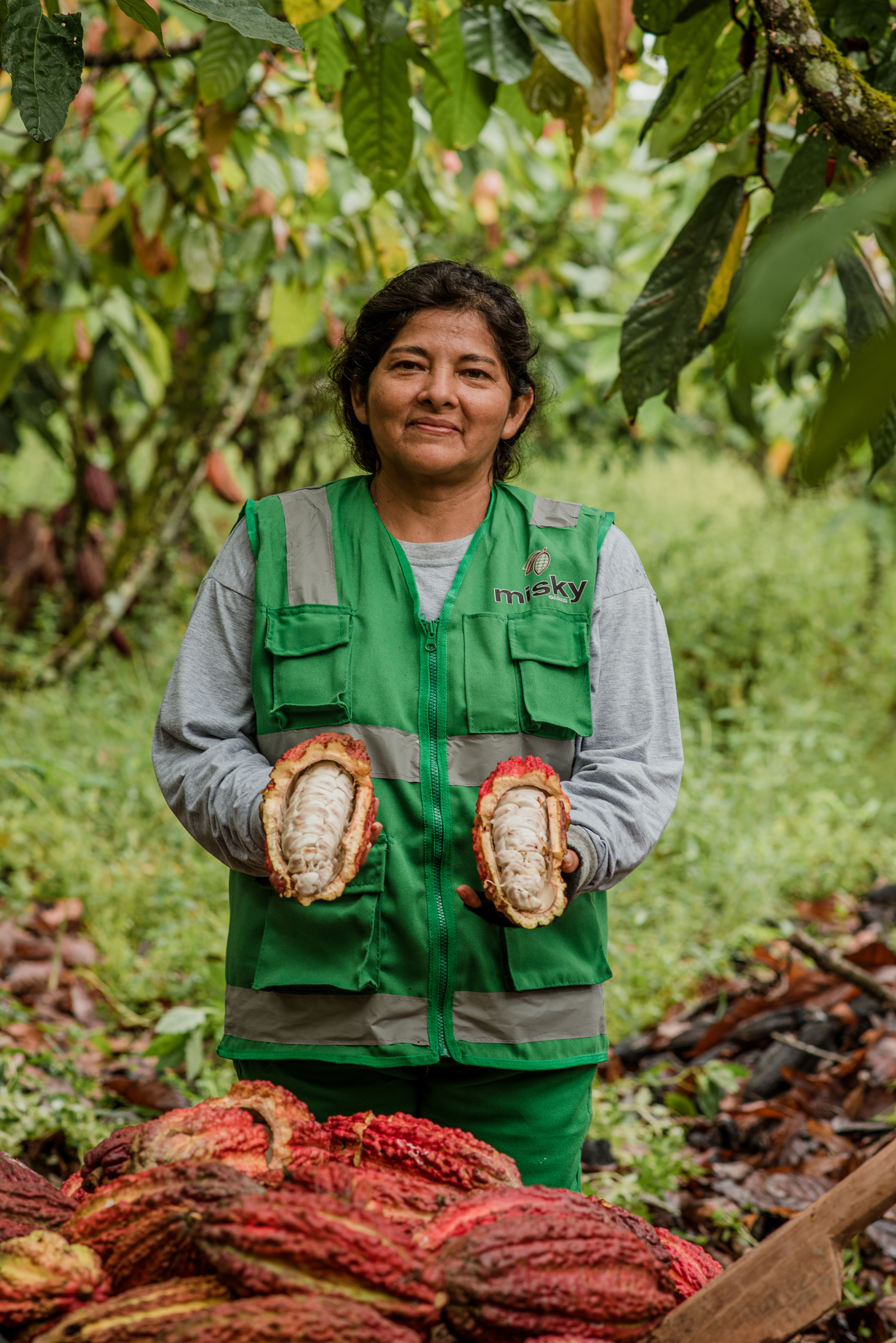 Cacao  - Misky Cacao S.A.C.