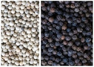 Pimienta Negra - CV. Starindo Gemilang