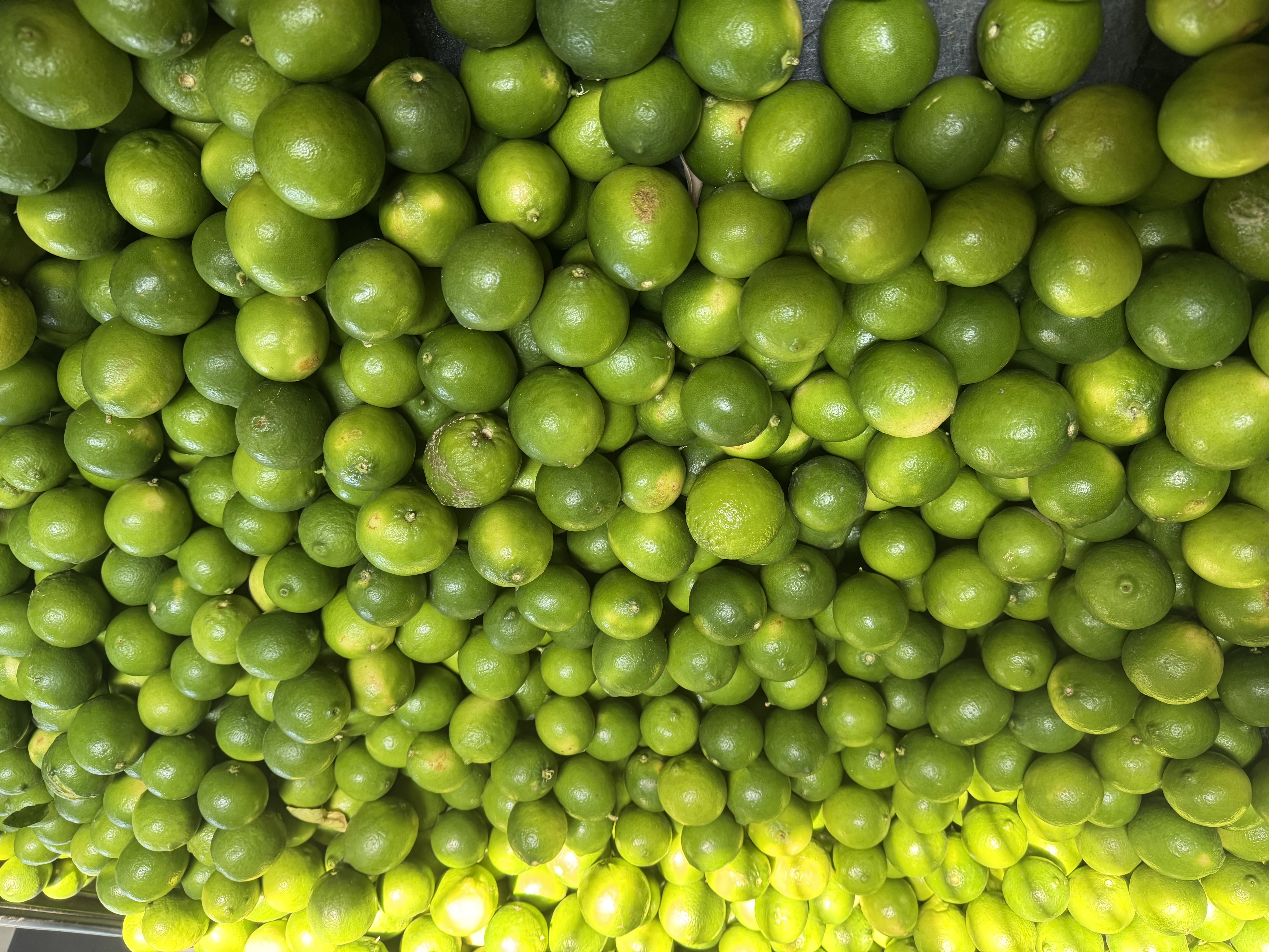 Limón - Inversiones La Fragua S De RL 