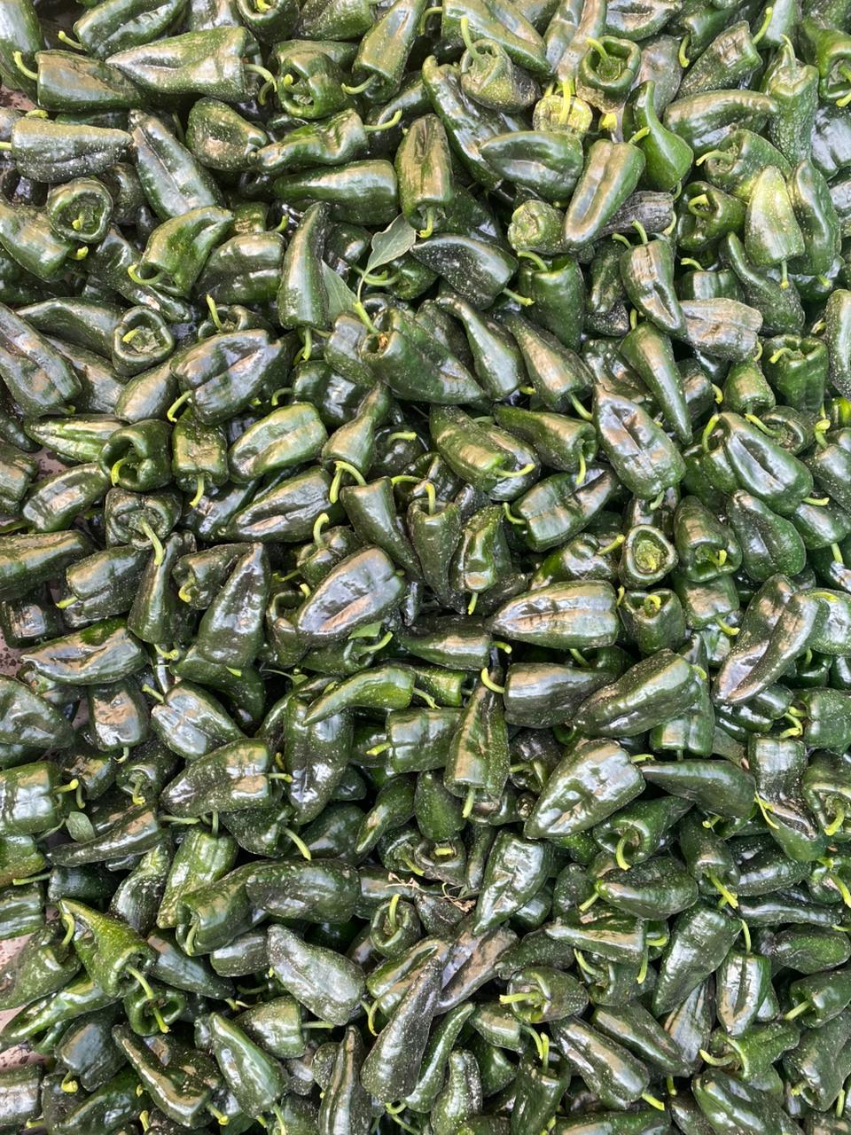 Chile - SALSIPUEDES PRODUCTS