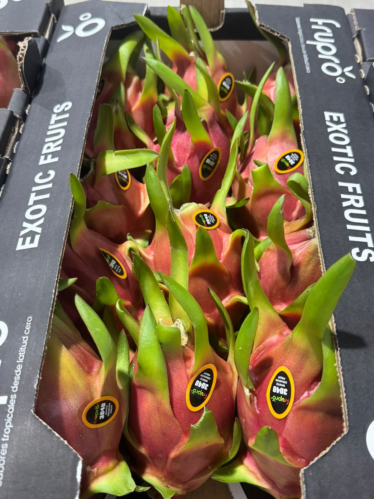 Fruta del Dragón   - Frupro SAS