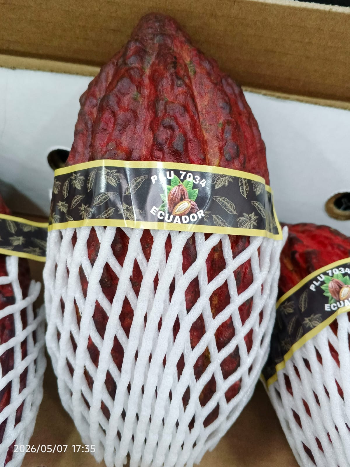 Cacao  - Frupro SAS