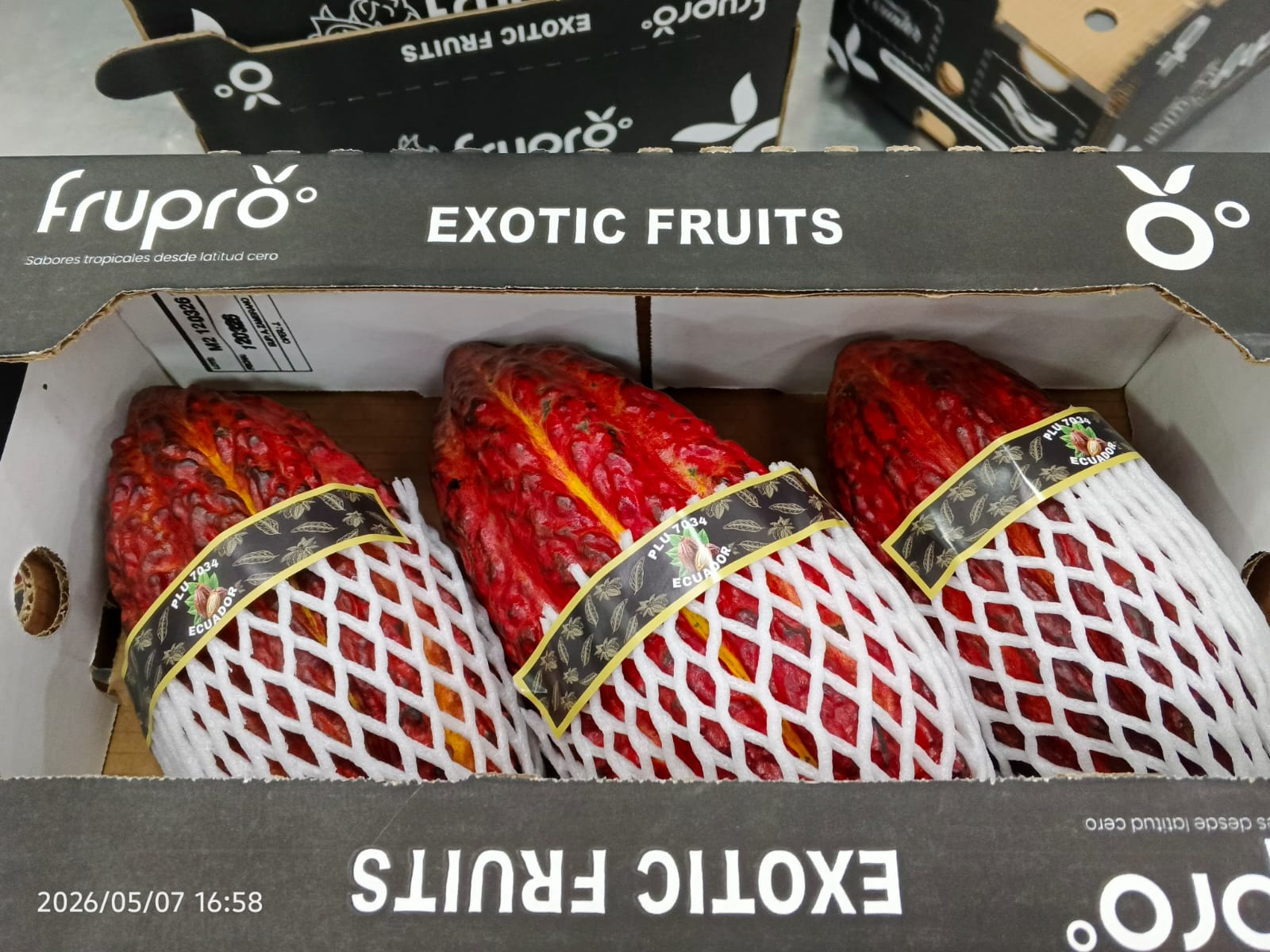 Cacao  - Frupro SAS