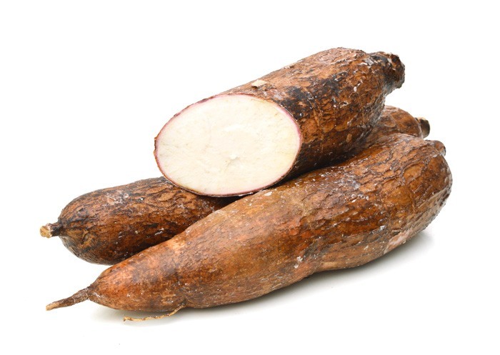 Yuca - Tubérculos de Costa Rica, S.A